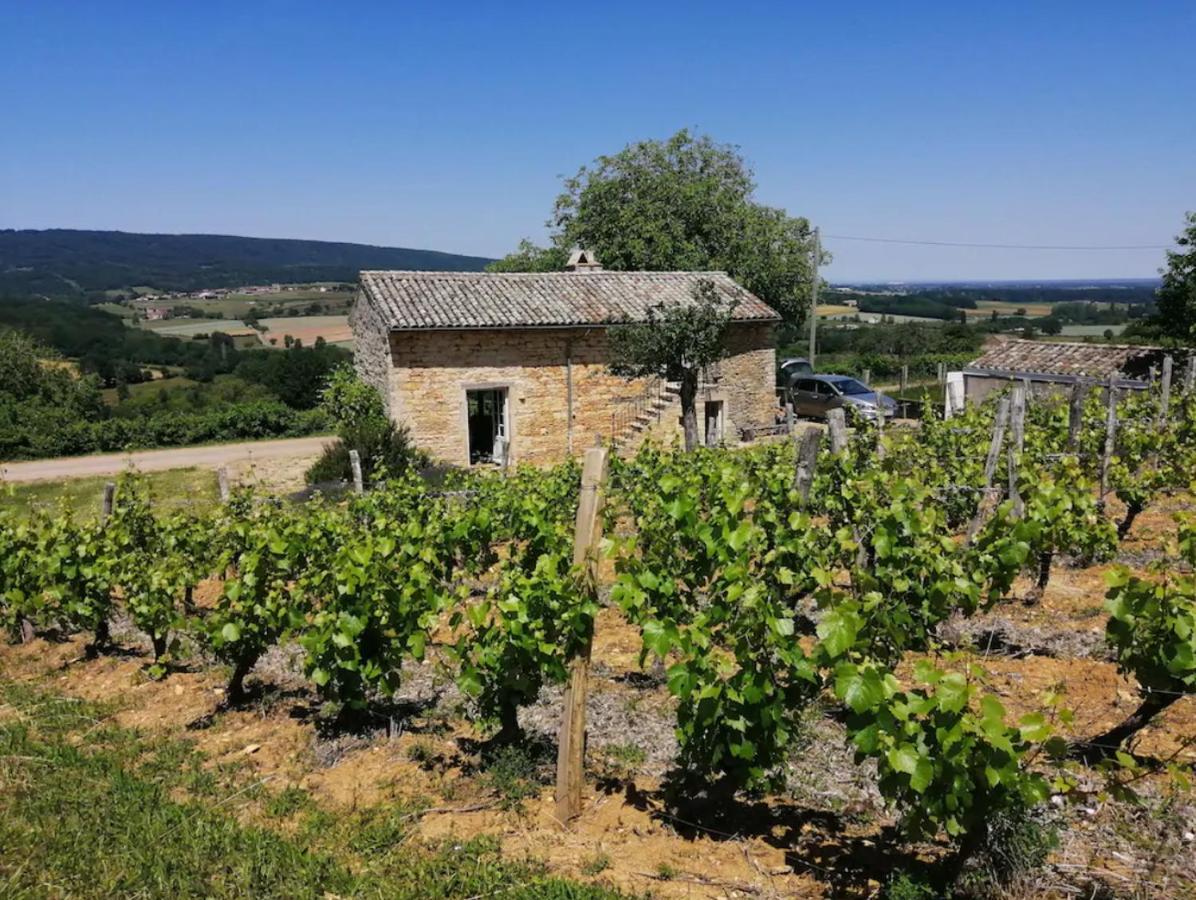 Une Maison De Campagne En Bourgogne Du Sud Tournus Buitenkant foto